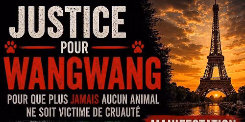 MANIFESTATION JUSTICE FOR WANGWANG ET TOUS LES ANIMAUX EN CHINE — Place du Trocadéro
