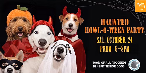 Haunted Howl-o-ween Party for Dogs at Wag Hotels Hollywood