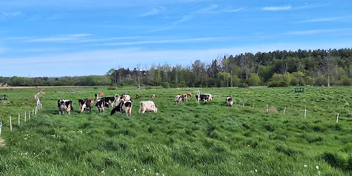 Durham County Holstein Club Summer Social Potluck