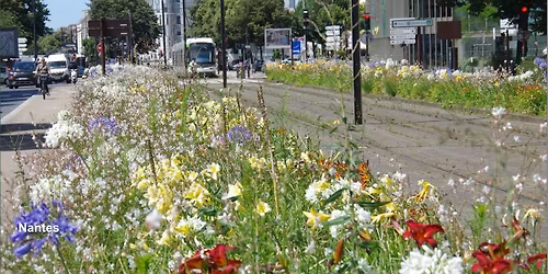 Cities in Gardens - Wild and Cultured - Learning from Nantes and Warsaw