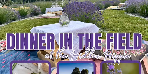 Dinner in the Field #1