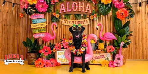 Livvie's Flamingo Floof Fest! \ud83e\udda9\ud83c\udf3a