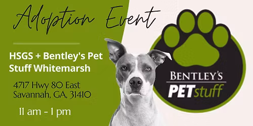 Adoption Event at Bentley's Pet Stuff Whitemarsh