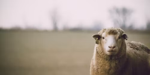 Beethoven\u2019s Pastoral & Mozart Piano Concerto