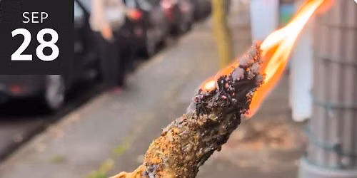 DIY Mini Mullein Torches