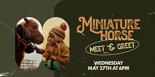 Miniature Horse Meet & Greet