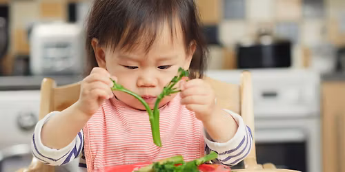 Introduction to Solid Foods Workshop, 10:00 - 11:30, 24\/04\/2026