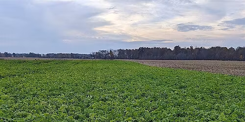 Cover Crop and Field Preparation Workshop