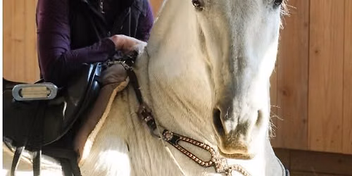 Relationship Based Horsemanship Cilinc with Farrah Green