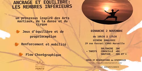 Anatomie du mouvement : Ancrage et \u00e9quilibre des membres inf\u00e9rieurs