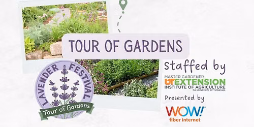 Tour of Gardens - Lavender Festival 