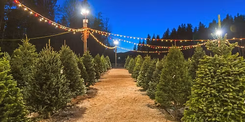 Christmas Tree Lot - Open Daily - November 21st-December 23rd