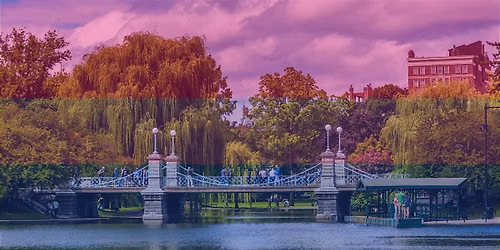 Bi+ Picnic in the Park