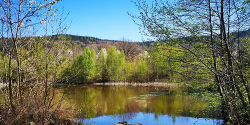 Academia botanicA - fitoterapia praktyczna ( wiosna ) 