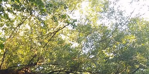 Delhi Legion Christmas Craft Show