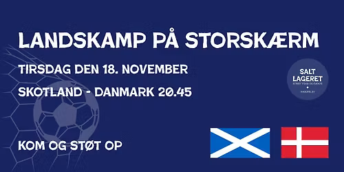 Landskamp - Danmark mod Skotland - VM kvalifikation 