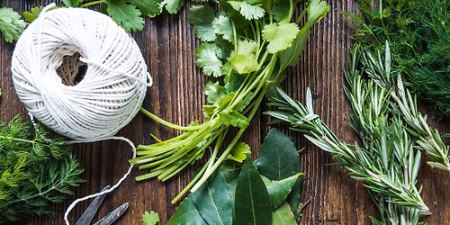 Culinary Herbs - Talk