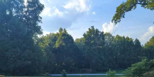 Dog Days of Summer 2026