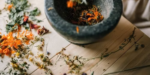 Growing Together: Tea Garden and Herbal Apothecary Workshop