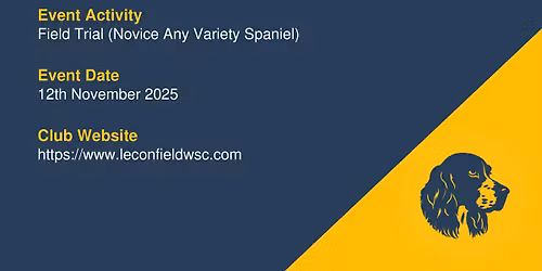 16 DOG NOVICE A\/V SPANIEL STAKE