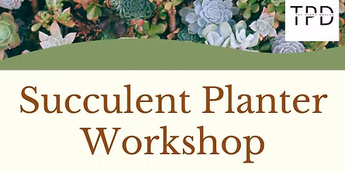 Succulent Planter Workshop