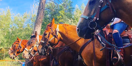 Horses, yoga, and tea!