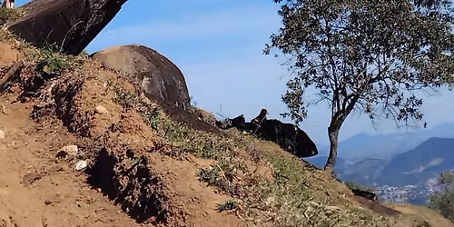 Trilha para a Pedra do Simba 