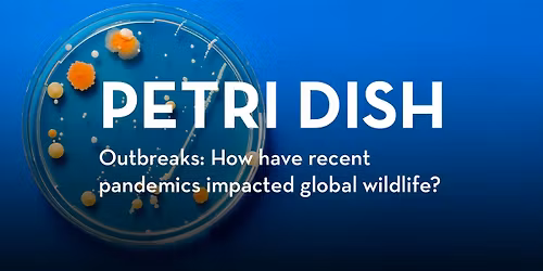 Petri Dish: Outbreaks
