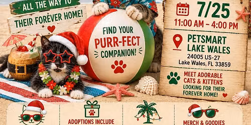 Christmas in July Cat Adoption Event