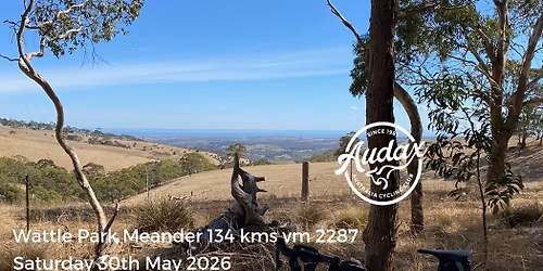 Wattle Park Meander 134
