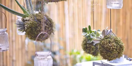 Kokedama (Japanese Moss Ball) Workshop