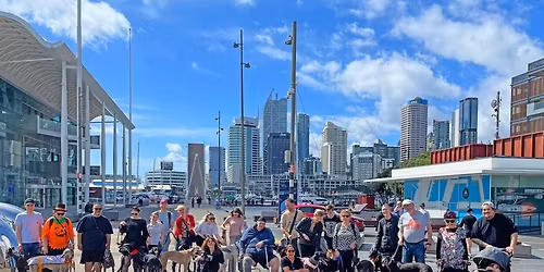 Greyt Heights walk Mt. Albert plus pub night