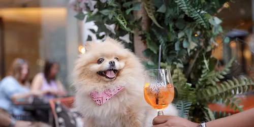 POM CAFE - EDINBURGH