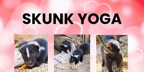 SKUNK YOGA \ud83e\udda8\ud83e\uddd8\ud83c\udffc\u200d\u2640\ufe0f