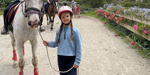 Incredible Horse Camp for Non-Horse Owners