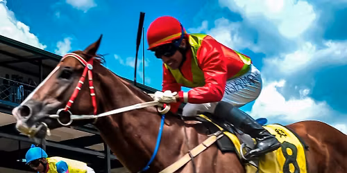 Melbourne Cup Day \ud83c\udfc7