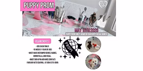 Puppy Social #3 - Puppy Prom Theme!