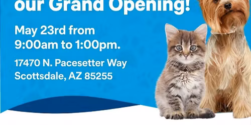 Grand Reopening & Ribbon Cutting!