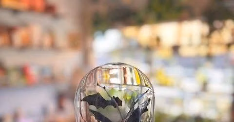 Botanical Cloche Workshop 9\/26 11a