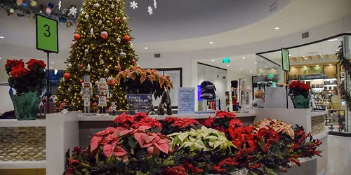 Merry Market