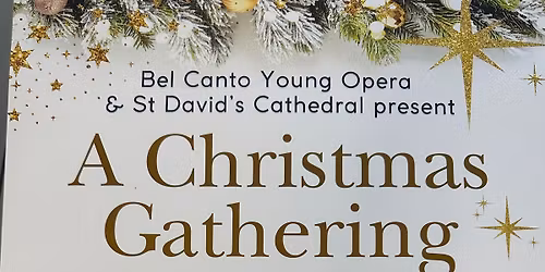 A Christmas Gathering