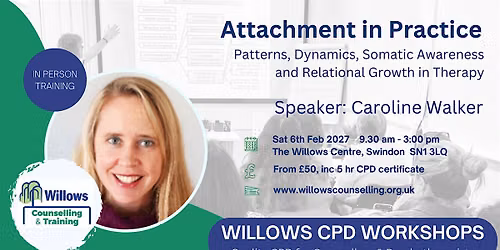 Attachment in Practice