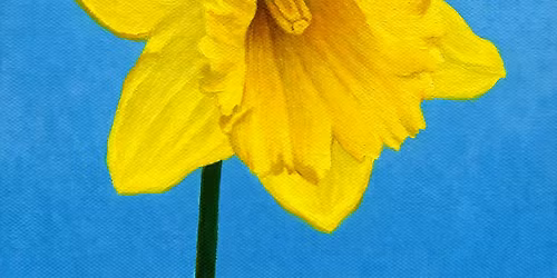 Acrylic Workshop - Painting a Daffodil - (3 hours) - Colchester