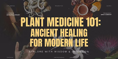 Plant Medicine 101: Ancient Healing for Modern Life