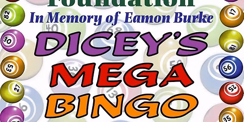 Diceys Mega Bingo