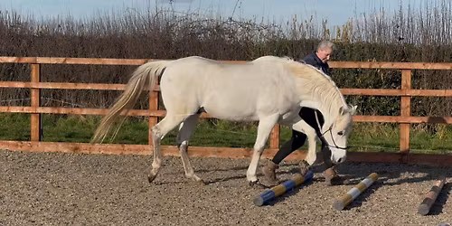 \ud83d\udeb6 WALK TO WORK \u2013 In-Hand Progressive Polework Series