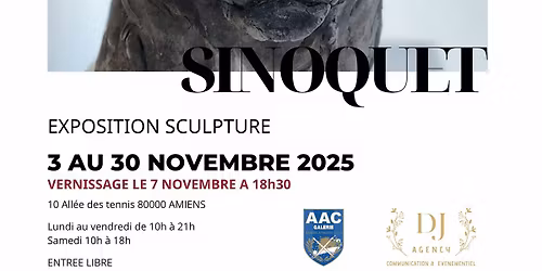 Vernissage de l'exposition R\u00e9gis Sinoquet