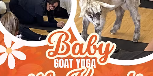 Baby Goat Yoga 