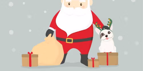 Christmas Pet Portraits