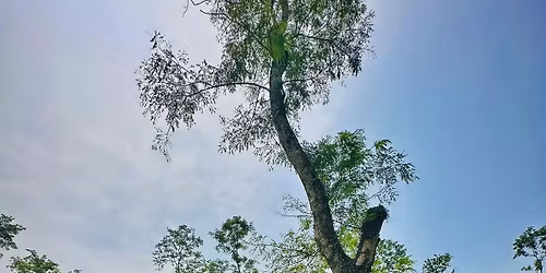 22- 24 \u09ae\u09be\u09b0\u09cd\u099a\u0983 \u09ae\u09be\u09a4\u09cd\u09b0 \u09e8,\u09ed\u09eb\u09e6 \u099f\u09be\u0995\u09be\u09df \u0988\u09a6 \u09b8\u09cd\u09aa\u09c7\u09b6\u09be\u09b2 \u09b8\u09bf\u09b2\u09c7\u099f \u099f\u09cd\u09b0\u09bf\u09aa \ud83c\udde7\ud83c\udde9